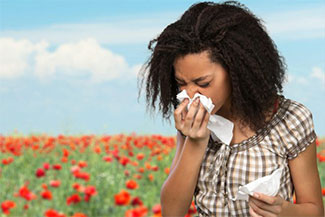 Allergies Thumbnail